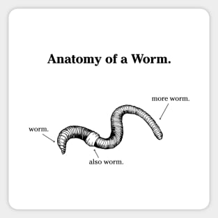 Anatomy of a Worm - Light Sticker